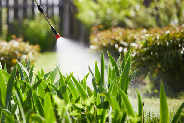 24/7 Emergency Fumigation Services experts in Pleasanton, KS