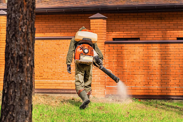 Trusted Emergency Pest Control service in Pleasanton, KS - Nex Pest Control
